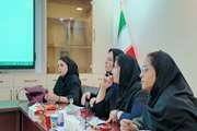 نشست نهایی هم‌اندیشی داشبورد متمرکز آمار بیمارستان‌های دانشگاه علوم پزشکی تهران با موفقیت برگزار شد